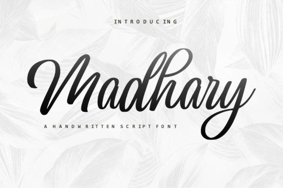 Madhary: A Stylish Script Font for Web Design
